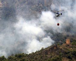 Extinguido el incendio forestal de El Ronquillo
