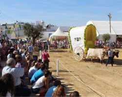 Arranca “Una Pará en Gines” con una previsión de 50.000 visitas
