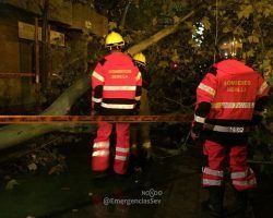 Las primeras lluvias dejan 270 intervenciones y dos heridos