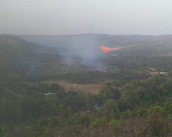 Extinguido el incendio forestal en El Ronquillo