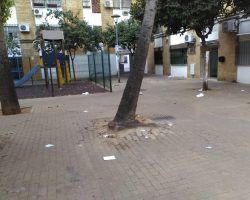 El triángulo de la basura
