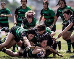 Las ‘Cocos’ se miden al Sporting de Portugal, campeón luso, en su puesta a punto antes del debut liguero