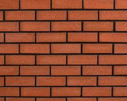 Esa maldita pared