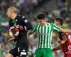 Siete partidos de fútbol al día durante los siete días de la semana las tres próximas semanas