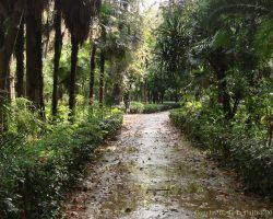 Poesía en tiempos de desazón (IV). Oda de otoño.