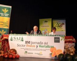 La campaña de cítricos de este año, aunque con retrasos, será buena