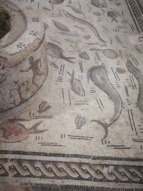 Mosaico de los Delfines de Cantillana