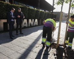 El Ayuntamiento se compromete a plantar 5.100 árboles hasta abril