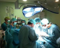 Sevilla acogerá el Congreso Nacional de Coordinadores de Trasplantes