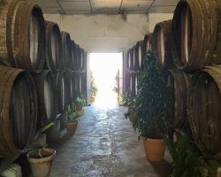 Solera