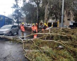 430 incidencias por fuertes rachas de viento en la tarde de hoy
