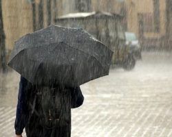 290 incidencias asociadas al temporal de lluvia y fuertes vientos, más de la mitad en Sevilla