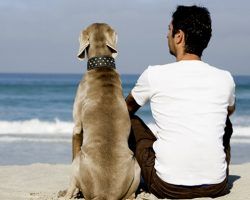 El mejor amigo del hombre