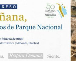 Vox tacha de desprecio que la Junta de Andalucía excluya a los cazadores en la celebración del 50 aniversario de Doñana