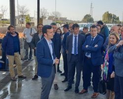 Proyecto piloto para la reutilización de las naranjas amargas de Sevilla para la generación de electricidad y compost