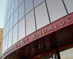 Los empresarios andaluces se sienten criminalizados por el Gobierno