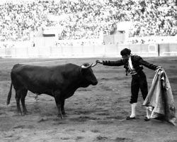 Homenaje a Joselito en La Monumental de Sevilla
