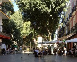 El plazo de solicitud de las subvenciones dirigidas al apoyo a la empresa sevillana 2024 permanecerá abierto hasta el 6 de febrero de 2025Estas ayudas cuentan con una dotación de 250.000 €, 60.000 € para establecimientos emblemáticos