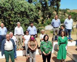 El PP de Sevilla defiende el Toro de Lidia como Patrimonio Cultural y reclama a Sánchez ayudas para el sector