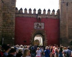 El Real Alcázar de Sevilla reabre hoy sus puertas