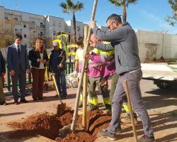 El Ayuntamiento recoge en su Plan Director un incremento de la masa arbórea de Sevilla y lamenta “las mentiras del PP y sus ataques a los técnicos de Parques y Jardines” 