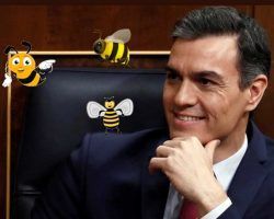 El laberinto de las abejas y el calvario