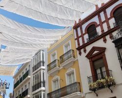 Tras el “bochorno” de este año sin toldos en Sevilla el PP pedirá al pleno un Plan de Sombras y Bioclimatización