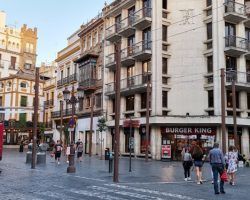 Sevilla sin toldos en sus calles este verano
