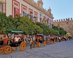 Sevilla aparcada: la ruina de los cocheros 