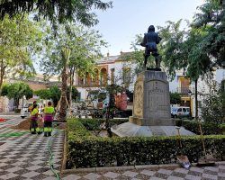 El Ayuntamiento planta tres palmeras en la Plaza de Pilatos dentro de su plan de reposición de esta especie en entornos patrimoniales 