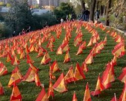 Vídeo. La M30 de Madrid amanece con 53.000 banderas para 53.000 españoles fallecidos víctimas del virus y de la incompetencia de un gobierno