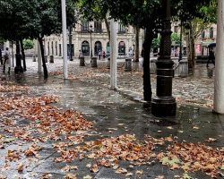 Un otoño impaciente ha llegado ya a Sevilla 