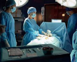El Sindicato Médico Andaluz exige medidas urgentes para la Atención Primaria, gravemente empeorada por la pandemia 