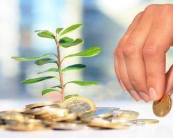 Economía y la formación