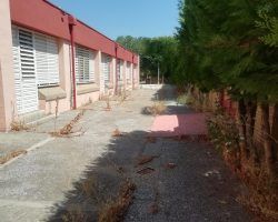 El PP acusa a Juan Espadas de la falta de limpieza y desbroce en los colegios ante el comienzo del curso 
