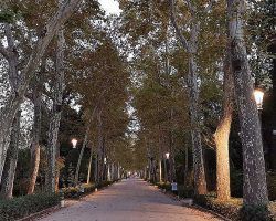 El Parque de María Luisa y la Plaza de España al ponerse el sol 