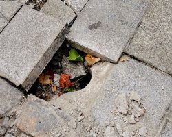 Los suelos que perdimos: la dejadez del Ayuntamiento con las calles de Sevilla 