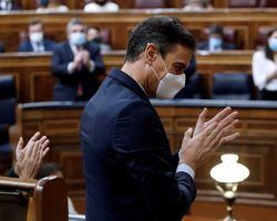 El baile del oso y el aplauso del cerdo  