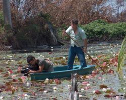 «Soy partidario de eliminar todos los gatos del Parque de María Luisa y de pueblos y ciudades»Entrevista a Carlos Llandres. Biólogo, naturalista, divulgador científico... Manuel Pavón ha hablado con él sobre Félix Rodríguez de la Fuente y otras cosas