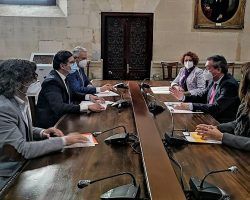 21 millones de superávit para adelantar aportaciones a Tussam, Lipasam  y EmvisesaJuan Espadas y Álvaro Pimentel han alcanzado un acuerdo para la reutilización del superávit generado en 2019