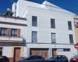VOX acusa al Gobierno de mentir tras el traslado a Sevilla de 30 inmigrantes procedentes de Canarias Exige información sobre la identidad real de los inmigrantes, el estado de salud de todos ellos, dónde se están alojando y hasta cuándo