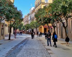Los sevillanos empiezan a pasear la calle Mateos Gago Al finalizar por completo sus obras se convertirá en peatonal 