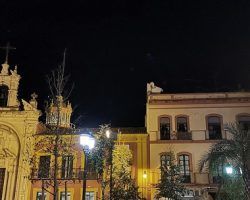 La Plaza de San Lorenzo se adorna por primera vez con un árbol de NavidadUna estrella señala el lugar donde se encuentra el Hijo de Dios Vivo