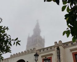 Mañanitas de niebla, tardes sin paseosEl cierre temprano de los comercios deja las calles vacías 