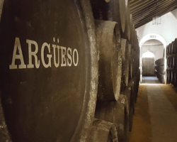 Fallece Francisco Argüeso Hortal, miembro destacado de la firma de viticultores de Sanlúcar de Barrameda
