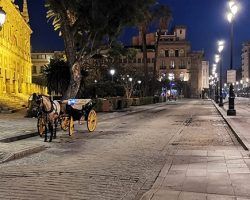 La desoladora situación de los coches de caballo en Sevilla