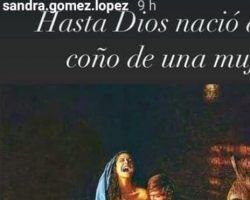 ¿Excelentísima Vicealcaldesa o tonta del co…?