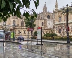 La ciudad ha vuelto esta mañana a abrir los paraguas. Las previsiones meteorológicas se han cumplido. Sevilla tendrá agua al menos al comienzo de esta semana.