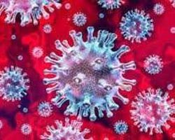 El coronavirus: ¿alguna vez nos libraremos de él y luego aprenderemos a vivir con él?