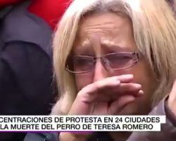 La paradoja del perro Excalibur se llamaba… Paracuellos, escenario del mayor patíbulo de la Guerra Civil (Vídeo)